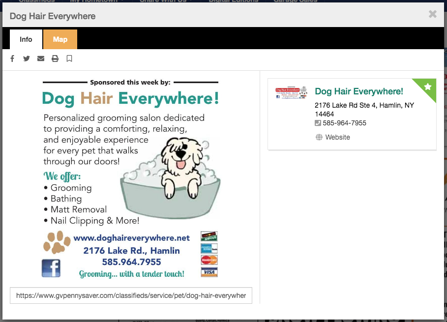 Digital Ad Example